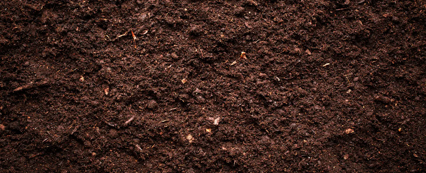 soil close up kent wa